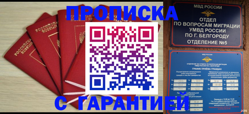миграционный учет в Владимире